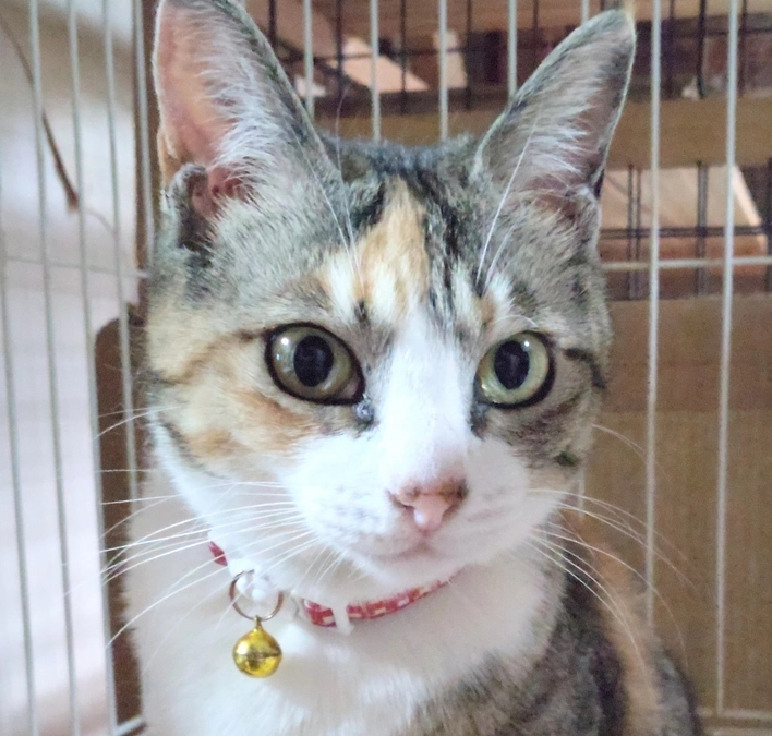 5歳になりました🎂