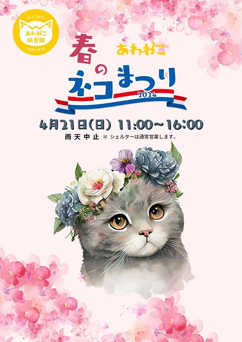 4/21（日）は新シェルターで初めてのネコ祭り=^_^=