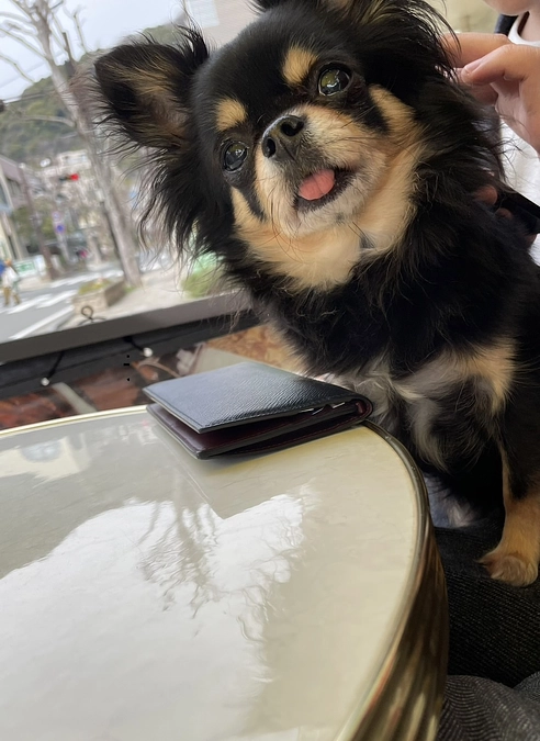 クラウドファンディング残26日です‼️