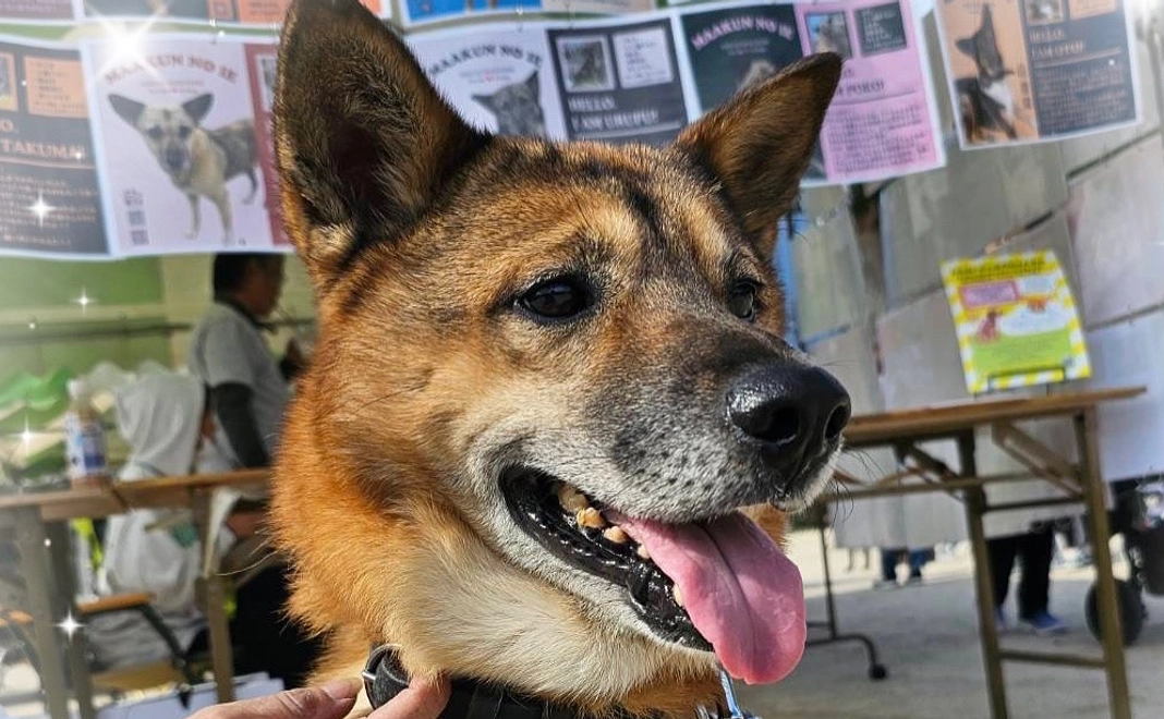 ずっとの笑顔を守り隊