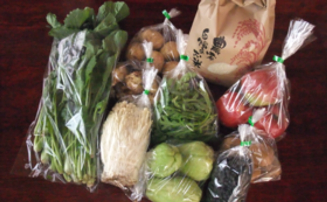 【食べて応援!】旬の無農薬野菜セット(おまかせ8品前後)
