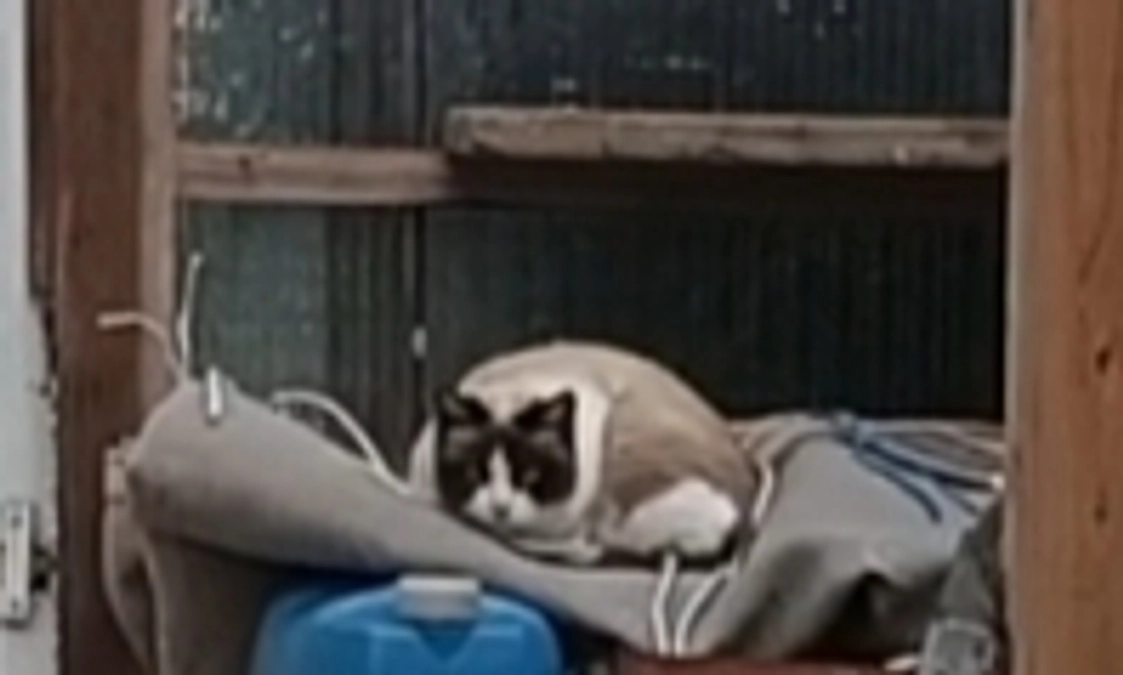 予約がいっぱいでした(⁠T⁠T⁠)