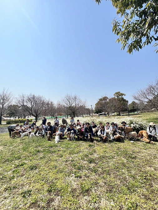 チャリティーパックウォーク！