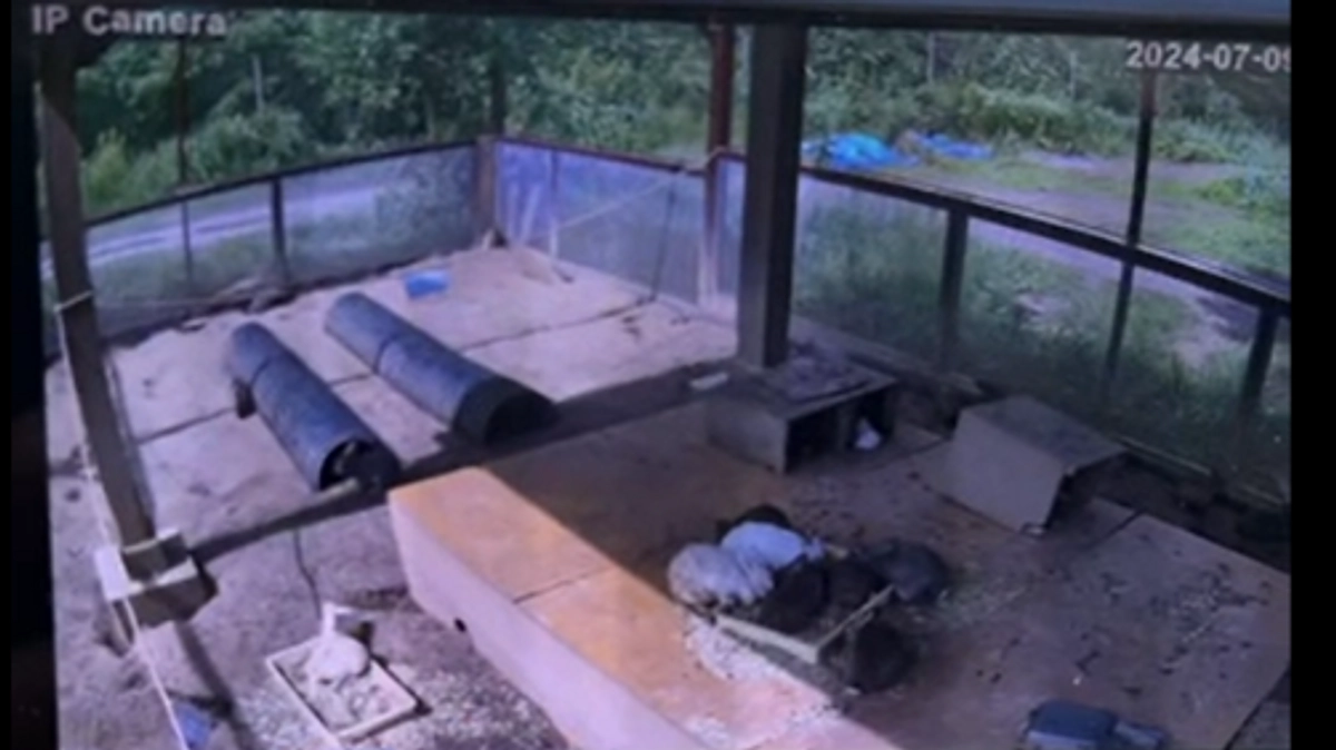 【リターン紹介】体験で応援｜ネットワークカメラ視聴権