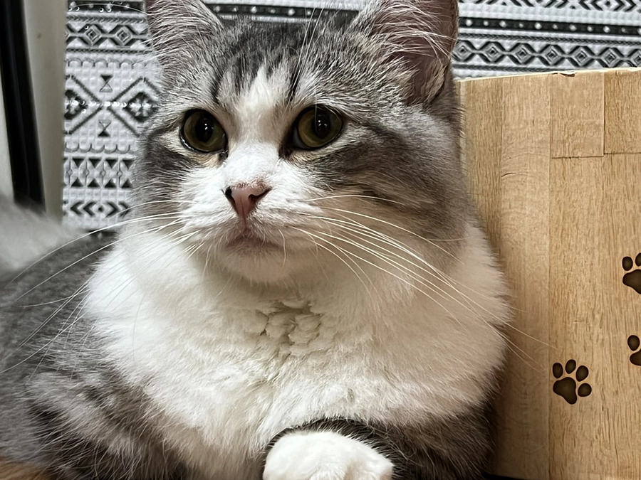 治療32日目のココロの様子