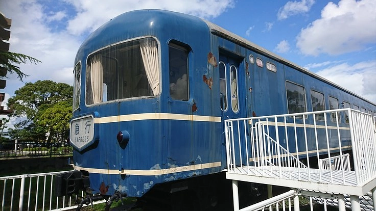 “ぼくの人生を変えたナハネフを救いたい” 小学5年生との挑戦