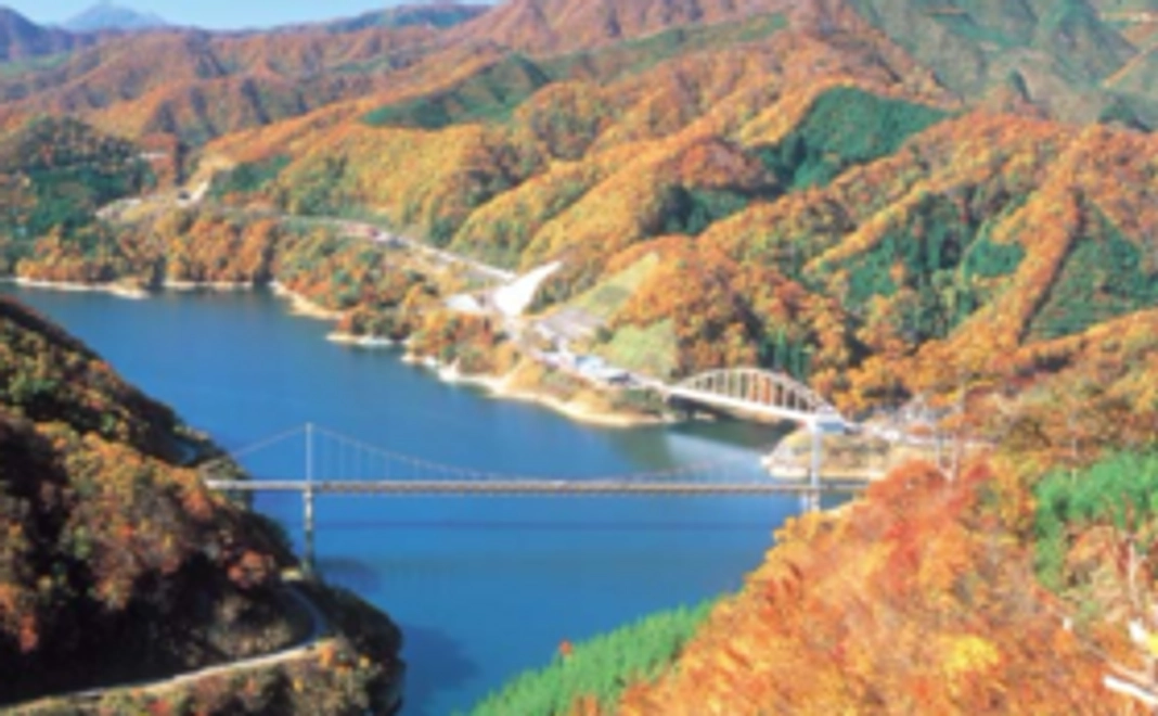 【Readyfor限定_お得に！】ちょい飲みドンキーみんなで開業支援！