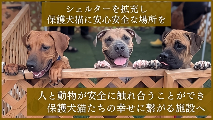 一般譲渡ができない犬猫たちにもしあわせになってもらうために