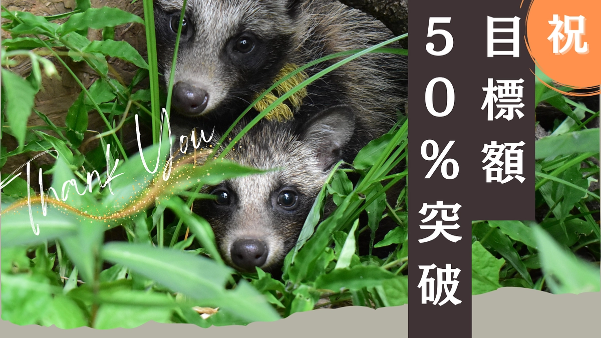 【御礼】早くもクラファン50％突破！！ 命を諦める社会にしたくないから