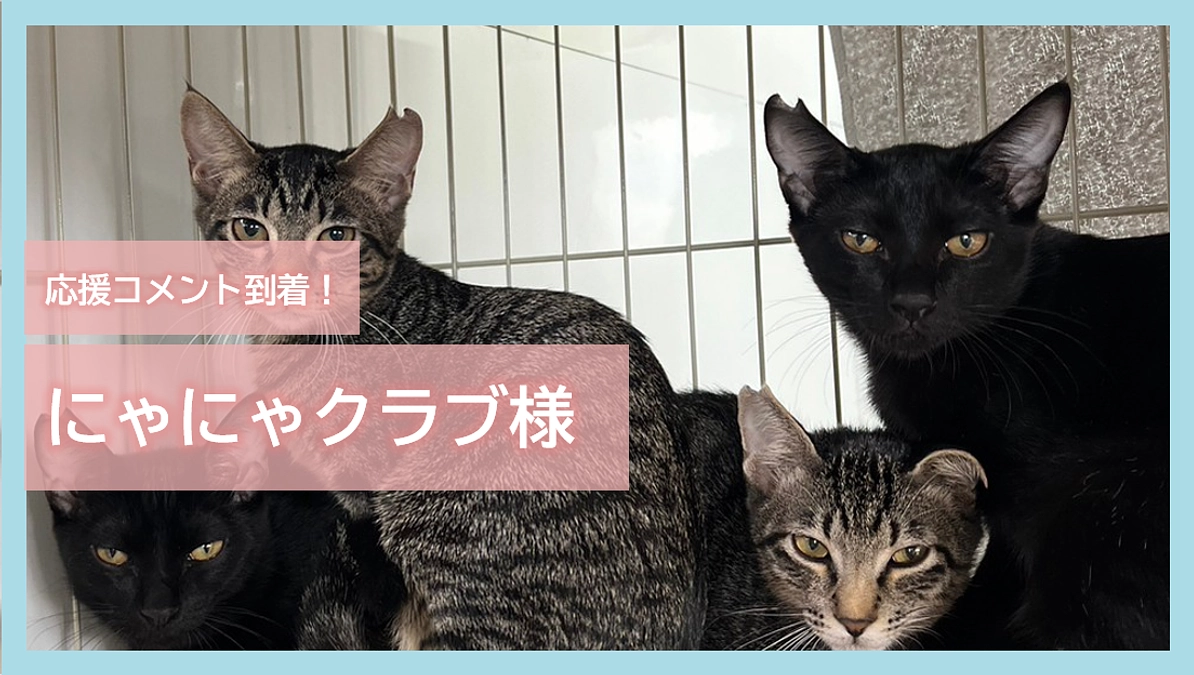 応援コメント到着！～にゃにゃ倶楽部さん～