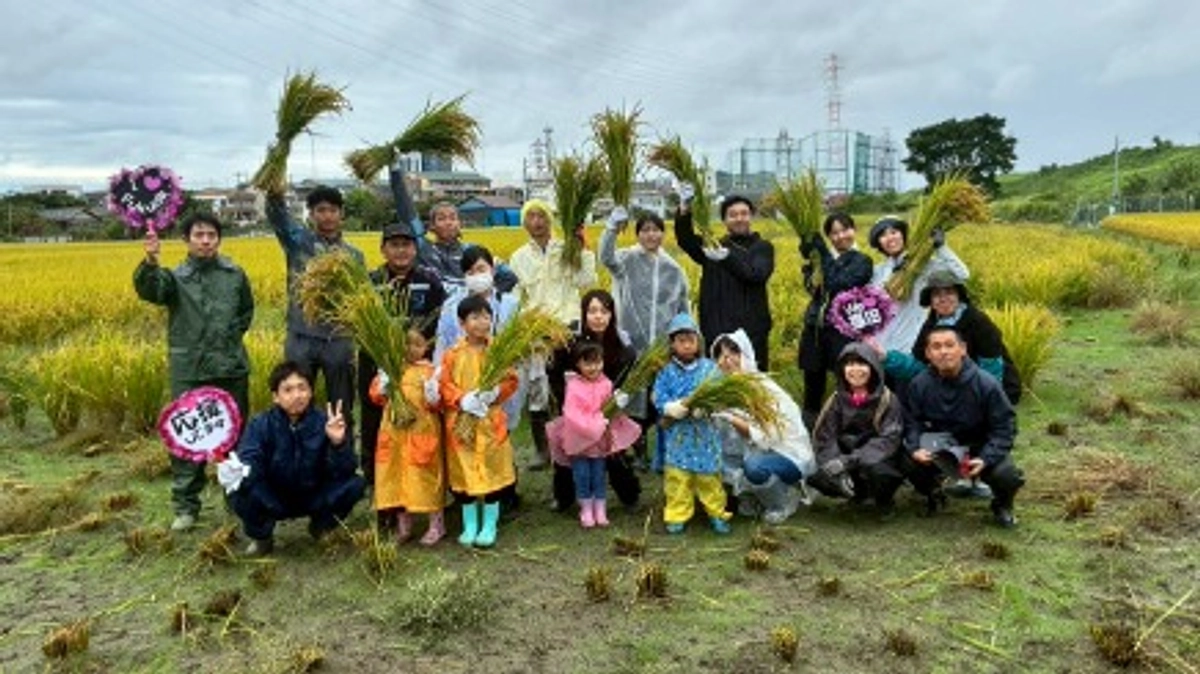 ふくふくファーム稲刈り体験イベントを開催しました！