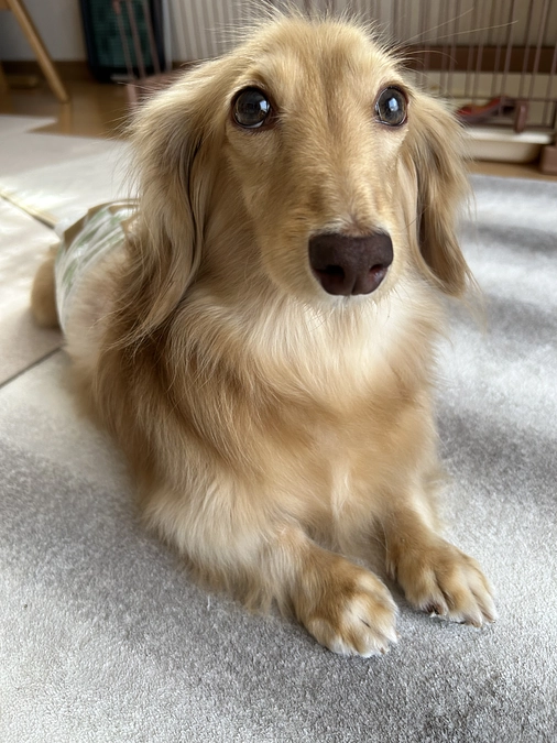 クラウドファンディングへの挑戦