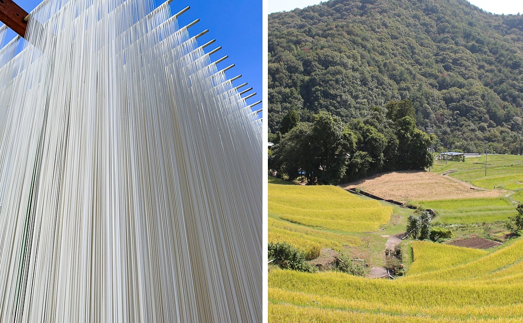 B｜名産品で応援（どちらか）