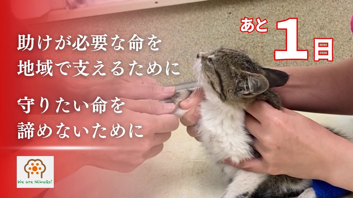 残り1日となりました！支援募集は明日23時までです！