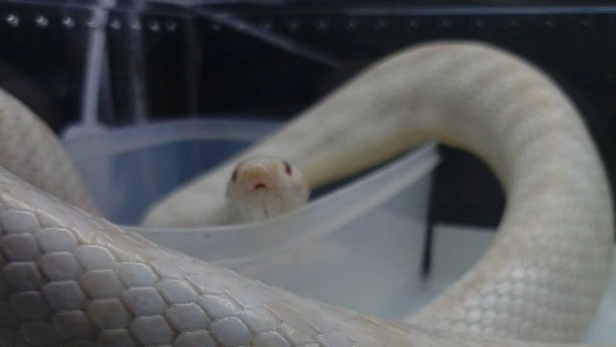 皆さんの応援のおかげで、クラウドファンディング挑戦、毎日の活動を頑張ることができています！！！