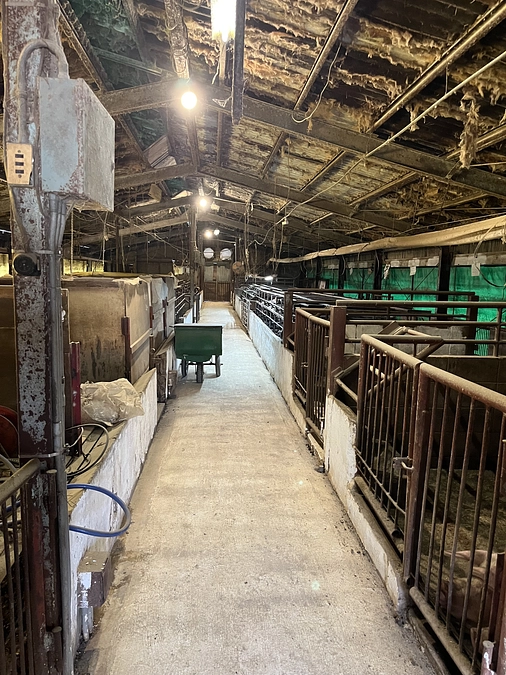 新たな年を迎えて