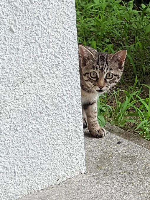 赤穂市は、10年遅れています😅  