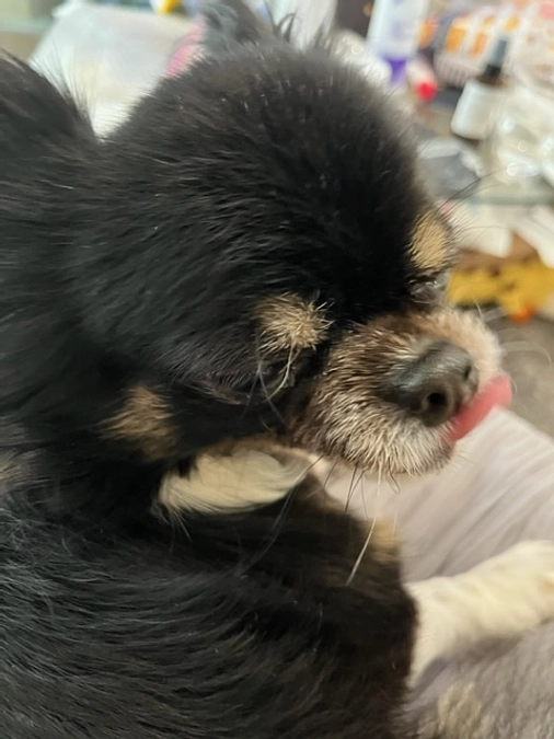 皆様ありがとうございました。