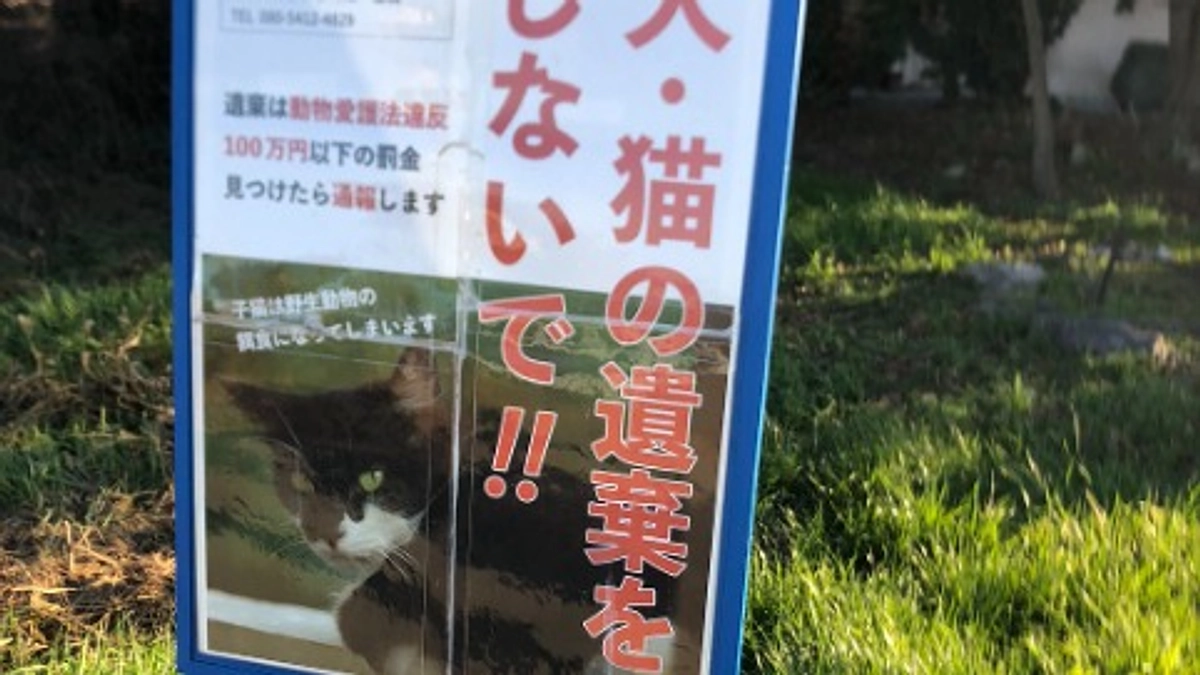 居場所を奪われる地域猫。年内約２０匹緊急レスキューの現場。