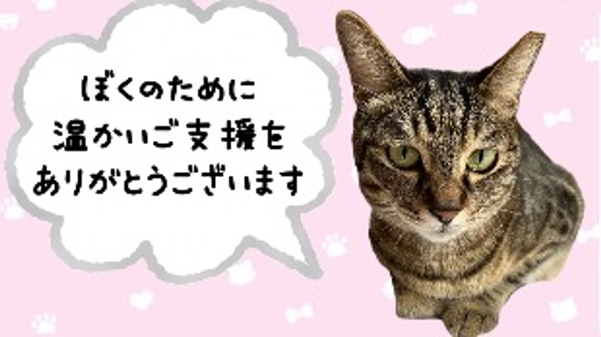 【ご支援ありがとうございます】