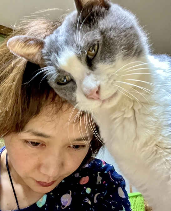 動物は全部わかっている