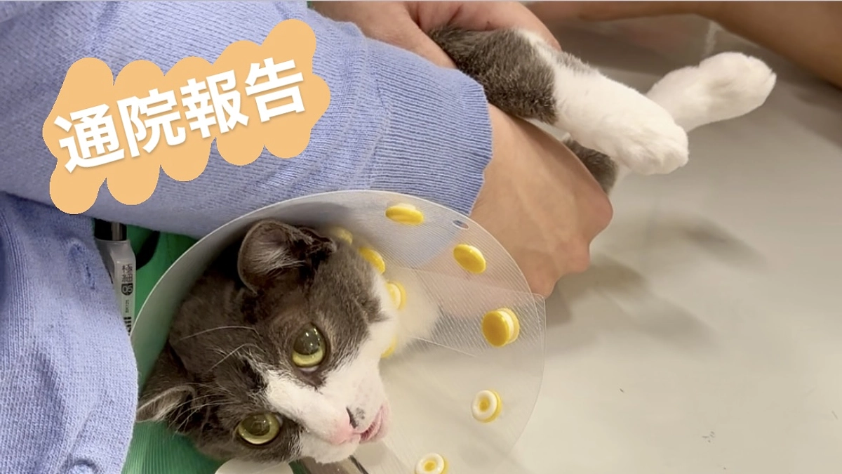 血液検査の結果を聞きに病院へ