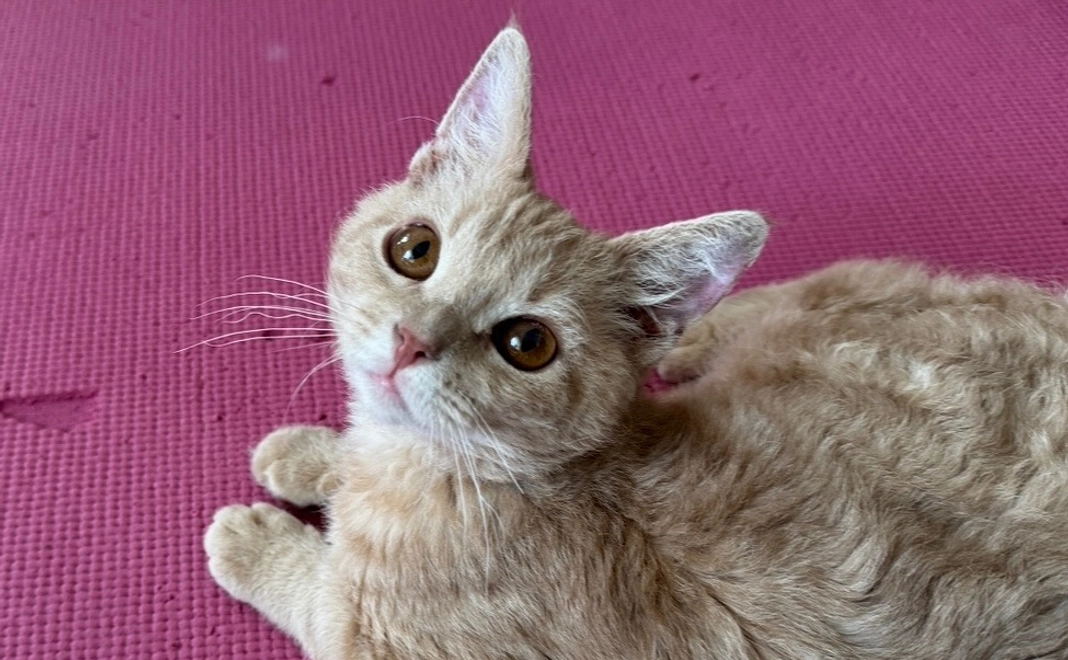 感謝のメール【1】