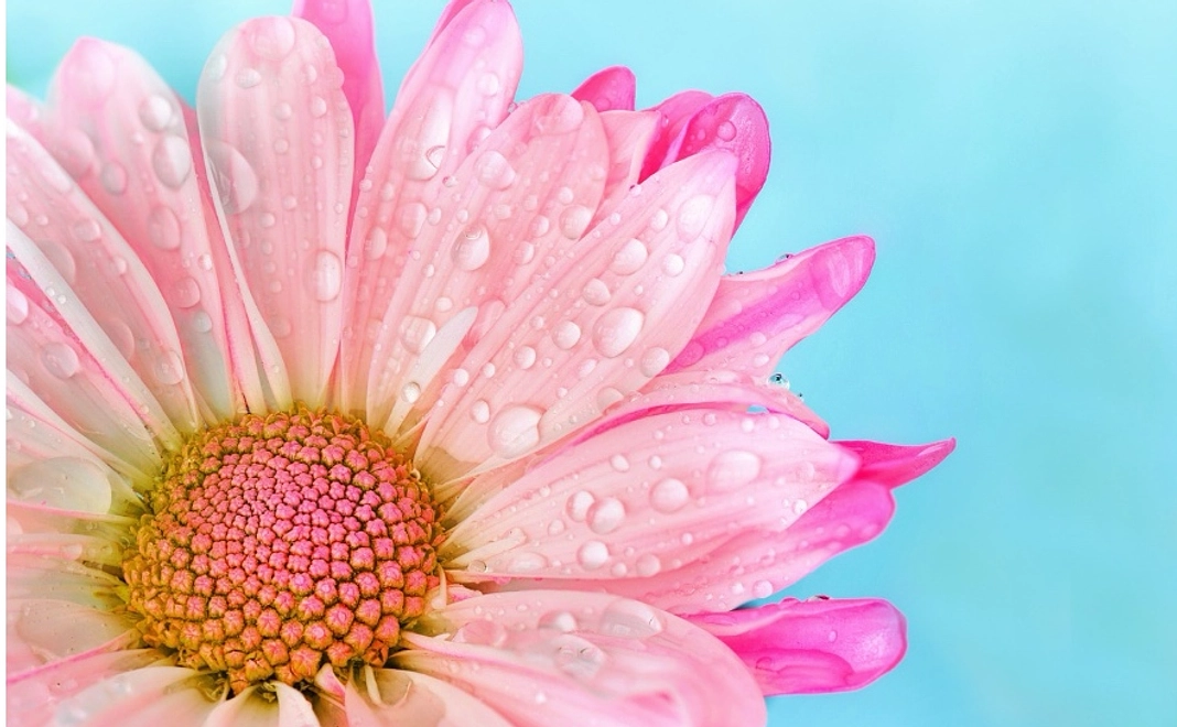 ご報告と感謝のメール(1)