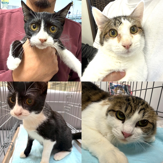 活動報告【2024.11月】