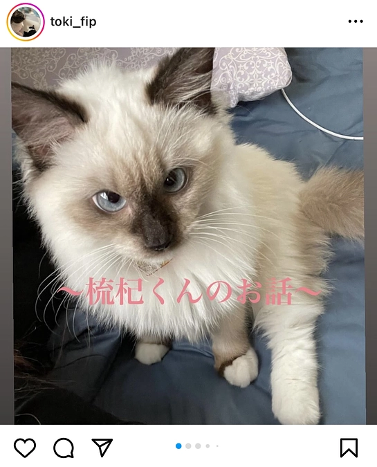 梳杞くんのお話