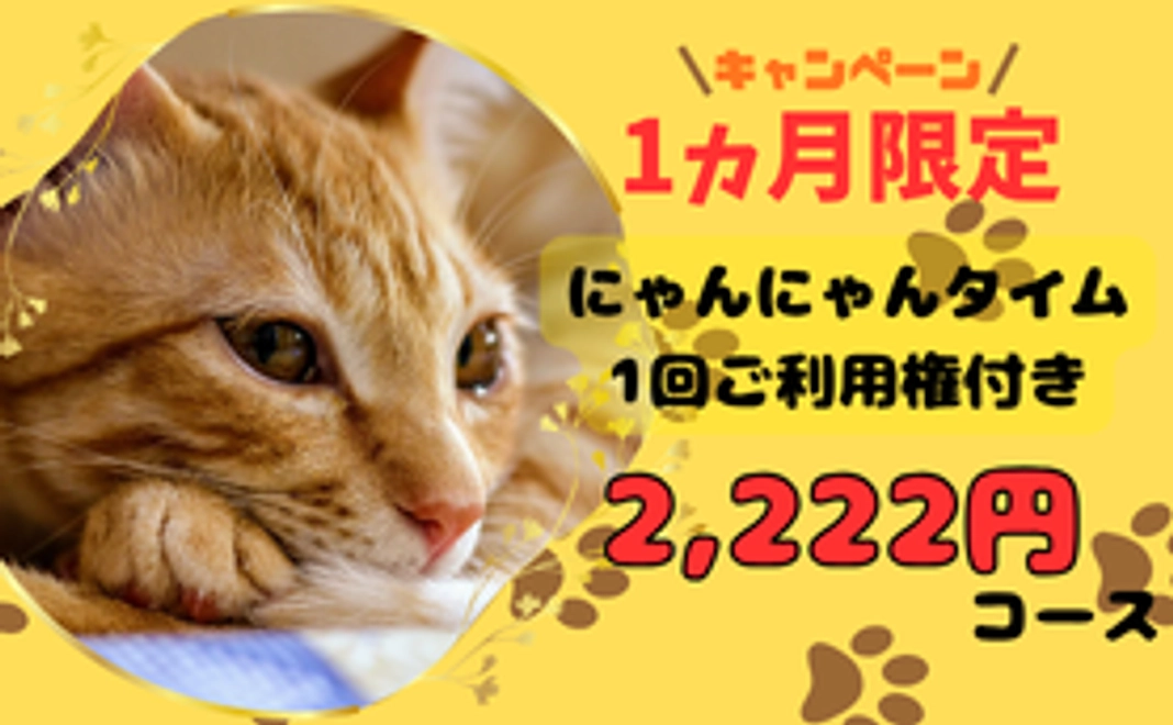 【1ヵ月限定!】にゃんにゃんタイムコース