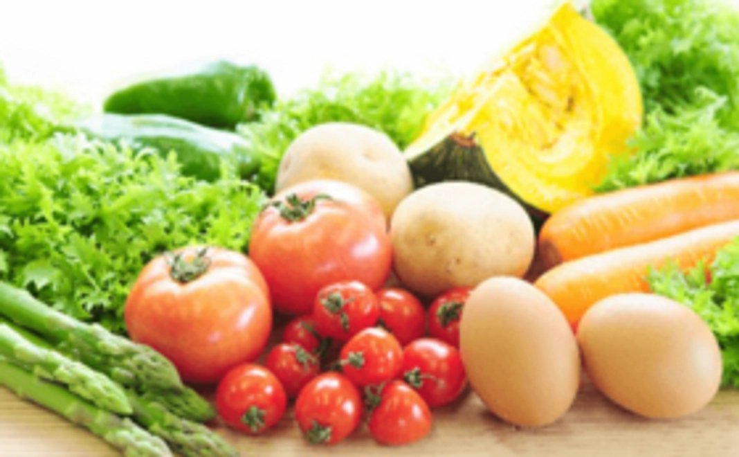 北海道十勝野菜ギフト