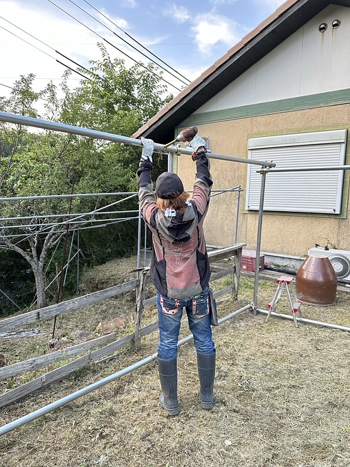 大阪の野犬なくし隊さんがクラウドファンディングに挑戦しています！