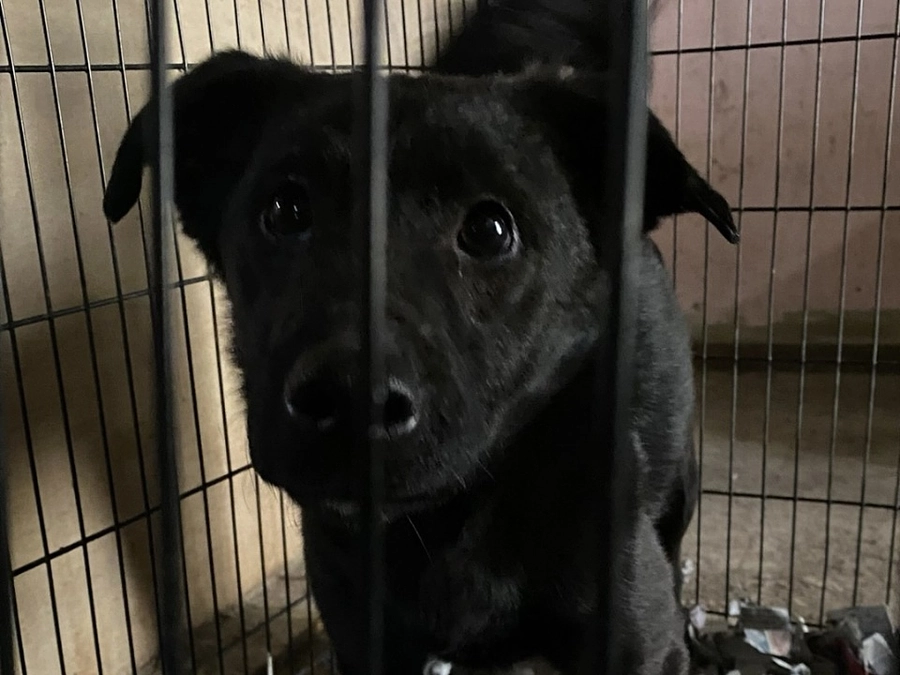 終了日まであと7日！レーベンがやってきたこと　被災前から大変な状況だった富山の現場