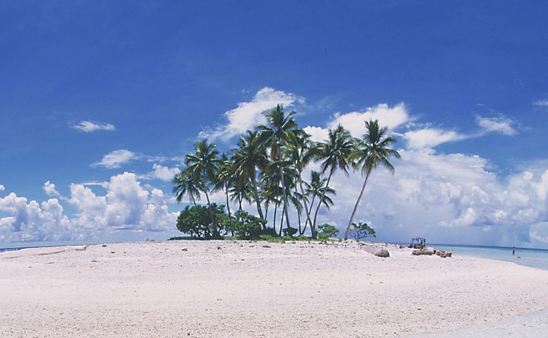 ミクロネシア観光動画：A 及び奨学金を受けた高校生からのお礼状