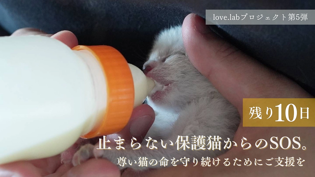 【残り10日】命をあきらめない。皆様からの温かいご支援、心よりお願い申し上げます。