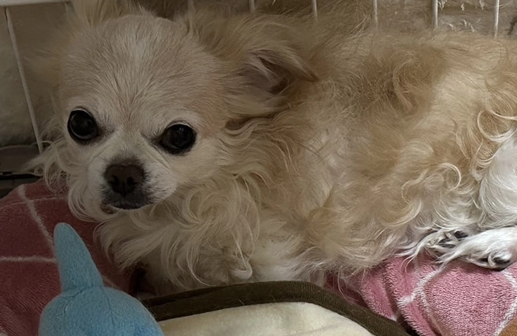 もう少しご飯を食べてほしいです。。