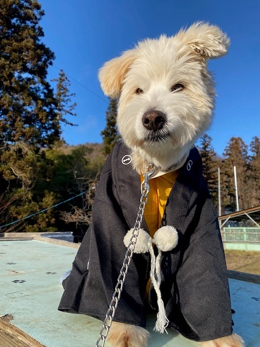 【シェルターNEWS】2024年もよろしくお願いいたします！