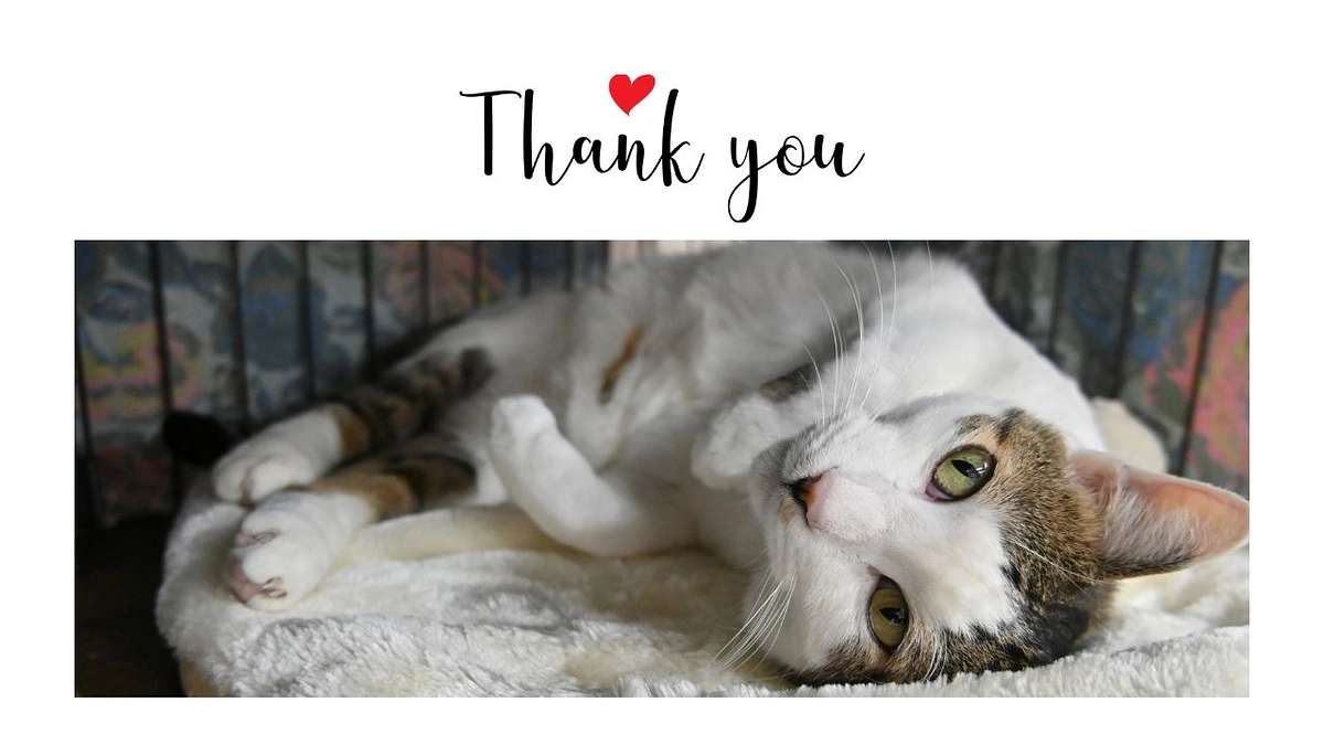 ご支援者様のお名前を HP に掲載いたしました