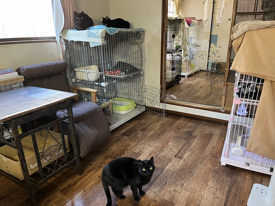 シェルターゆらりんちをご紹介！