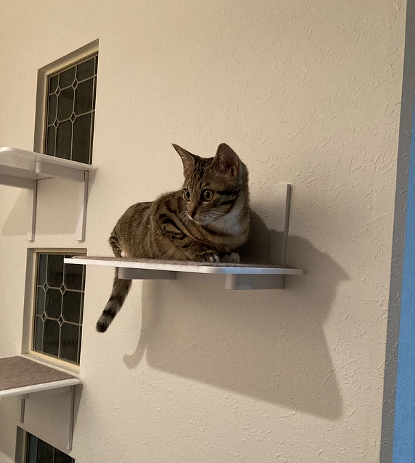 4/12の受診のご報告です