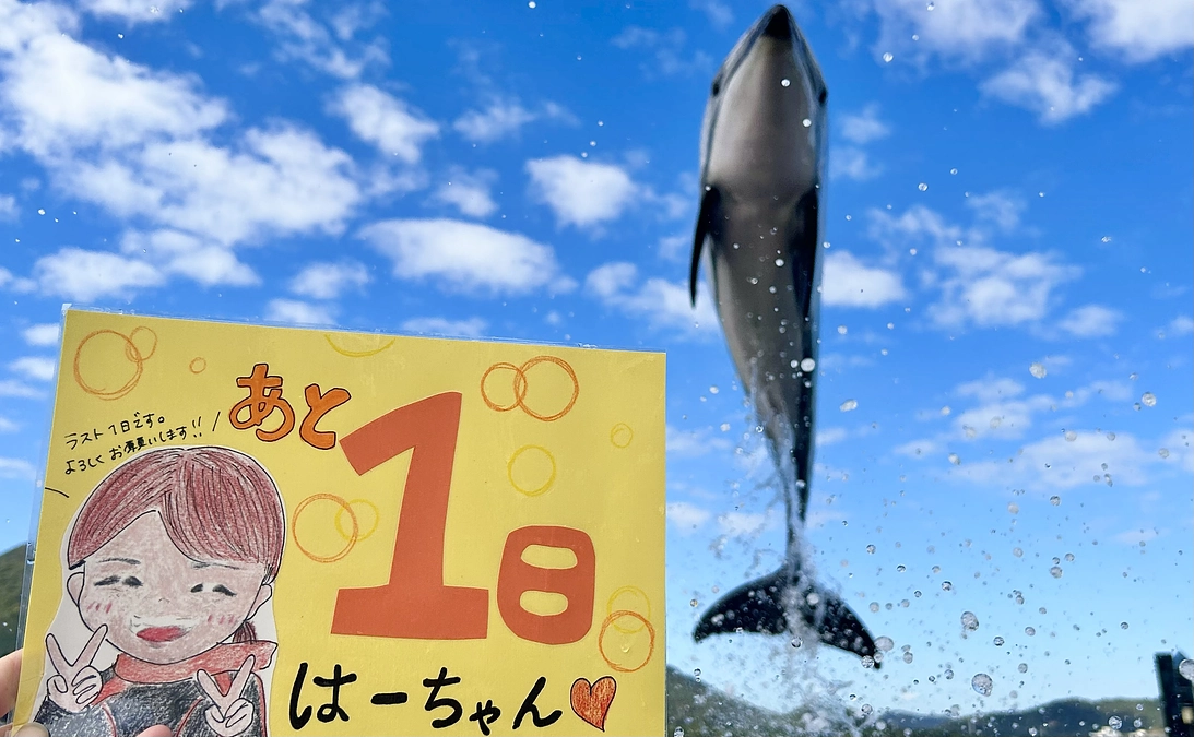 残り1日となりました！