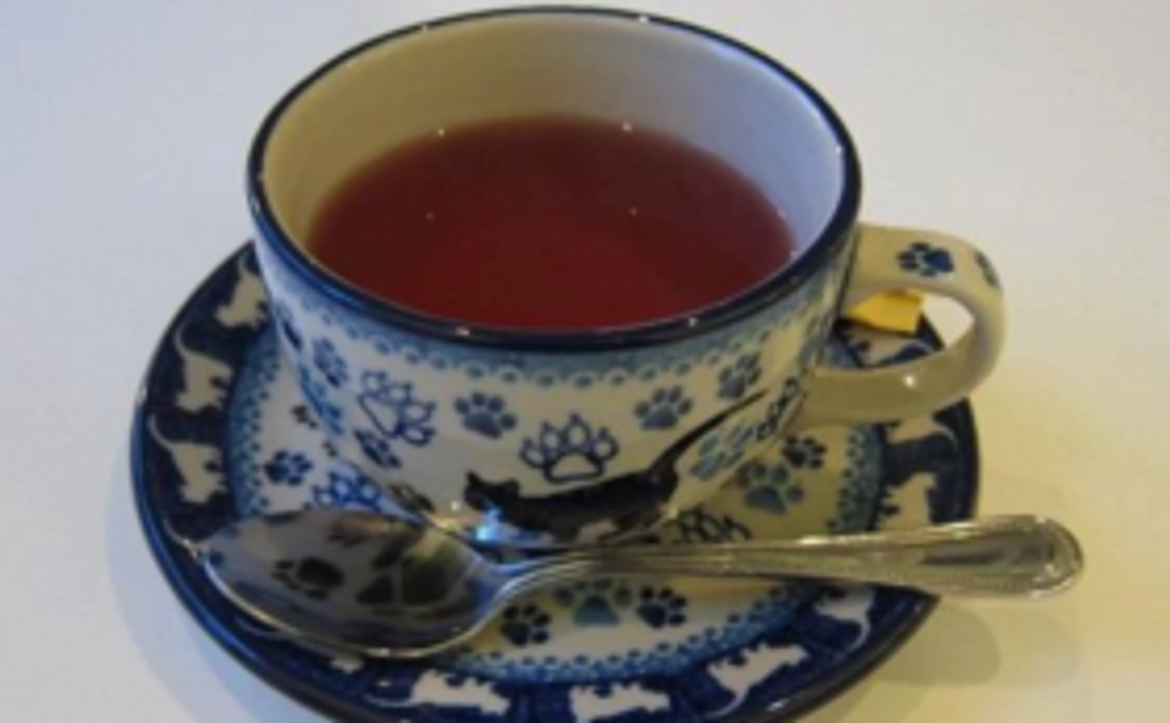 来店時に1ドリンクサービスします！