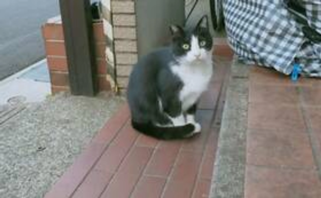 お礼のお写真（500円以上の方）