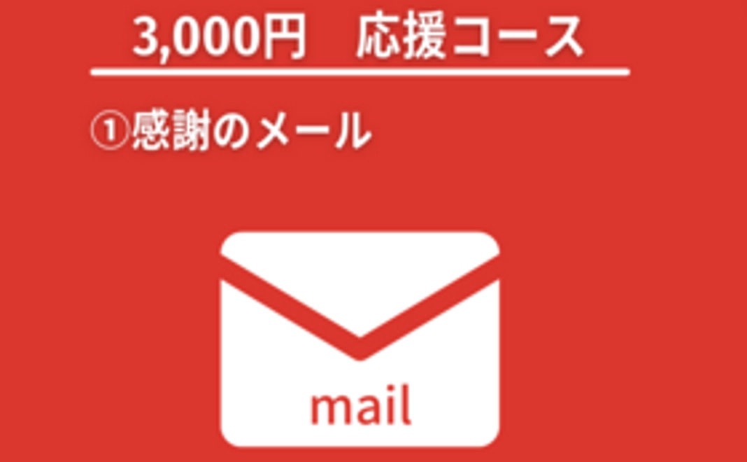 応援コース（3,000円）