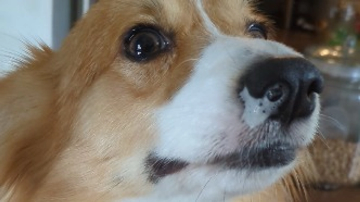 悪化しているのかもしれません…