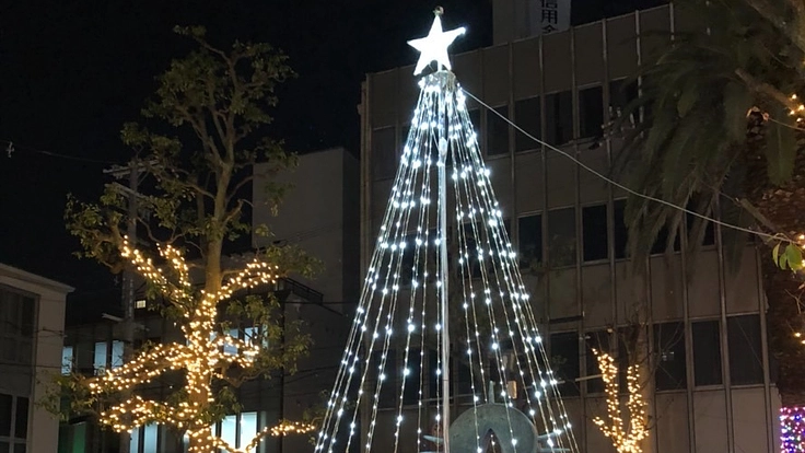 八尾に【光の道】を！イルミネーションロードを作って町を照らしたい！