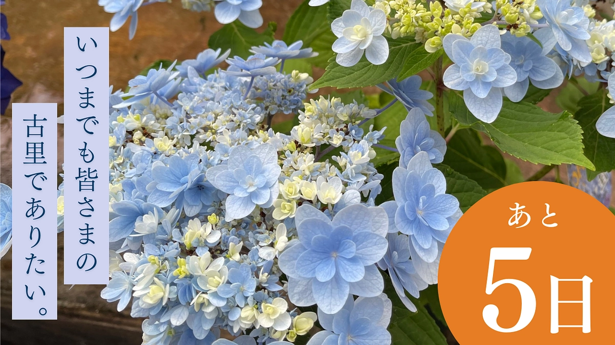 加茂荘花鳥園のプロジェクトが残り5日となり、社長メッセージを書きました。