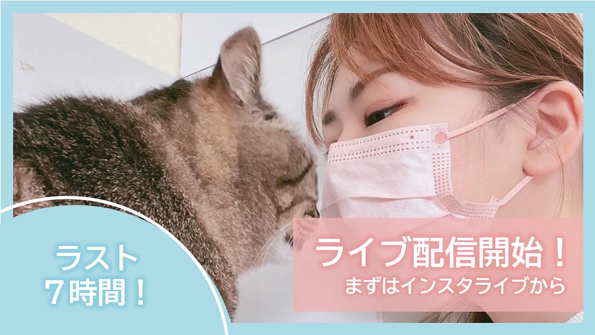 【ラスト７時間⏰】最終日のライブ配信を始めました！【セカンドゴールまで129万円】