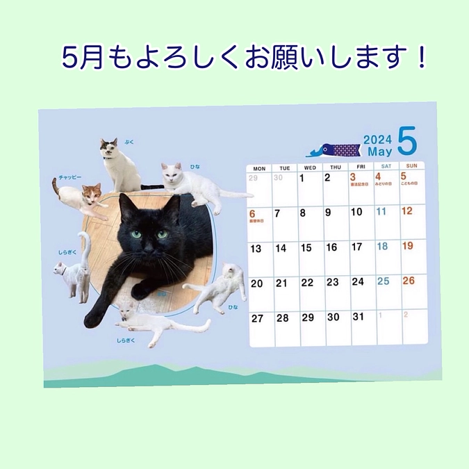 4月も応援ありがとうございました！